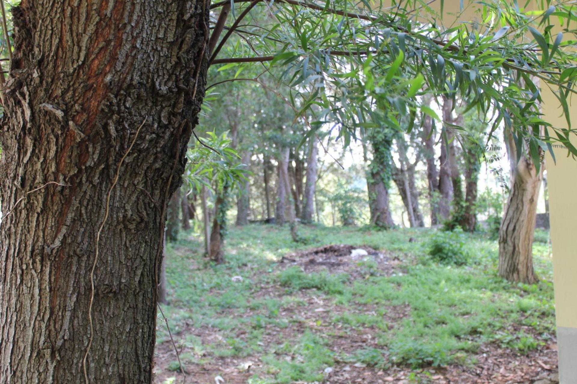 San Pier Niceto Villa Nastasi מראה חיצוני תמונה